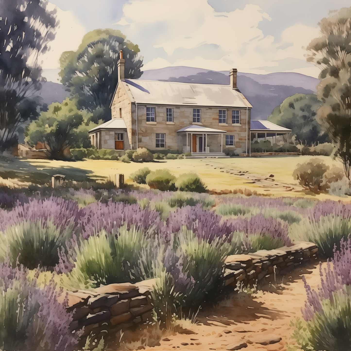 The Lavender Farm